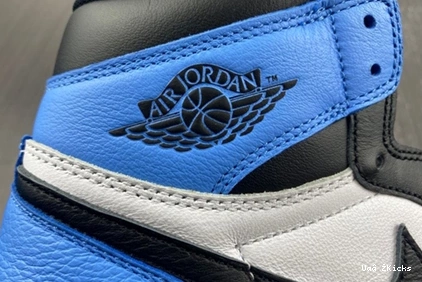 4232 1 DZ5485- 142 Jordan GoAnywhere Air High 0819